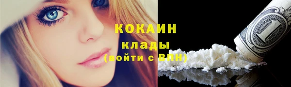ешки Арсеньев