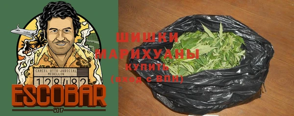 ешки Арсеньев