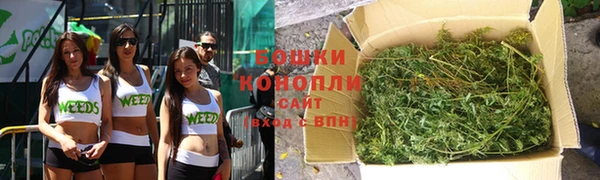 ешки Арсеньев