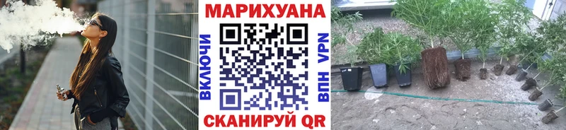 сайты даркнета какой сайт  Людиново  Канабис сатива 